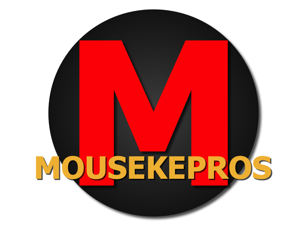 Mousekepros Travel LLC